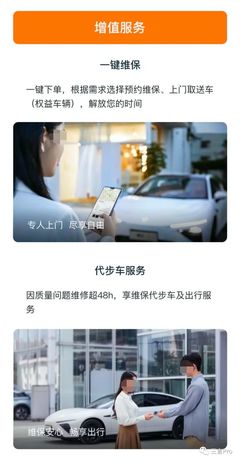 新能源車的“付費(fèi)訂閱”競速 從功能解鎖到服務(wù)生態(tài)，誰在買車？誰在用命踩坑？
